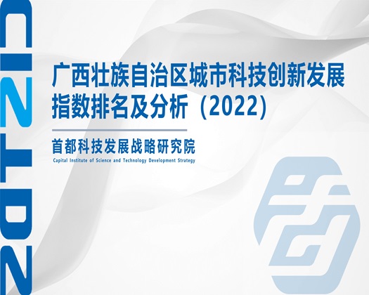 中国老太太肏B视频在线播放【成果发布】广西壮族自治区城市科技创新发展指数排名及分析（2022）